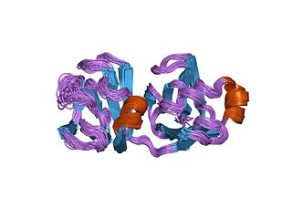 <span class="mw-page-title-main">Protein S (Myxococcus xanthus)</span>