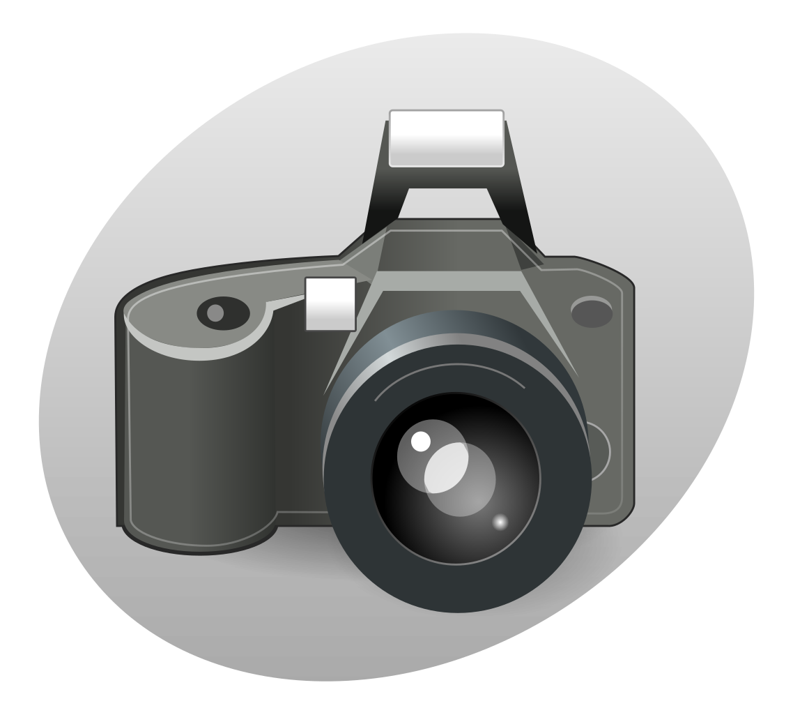 Download File:P camera grey.svg - Wikimedia Commons