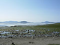 Padilla Bay seen from Bay View State Park.