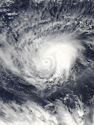 <span class="mw-page-title-main">Hurricane Pali</span> Category 2 Pacific hurricane in 2016