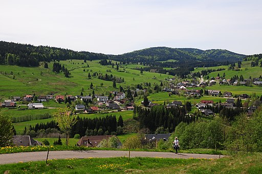 Panoramic view to the Southside of the Bernau valley panoramio