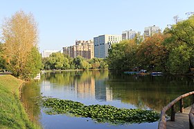 Воронцовские пруды, 2015