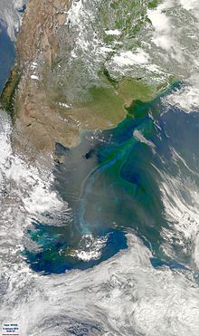 Fitoplancton (se puede observar como una extensa mancha grisverdosa) del mar argentino; fotografía de la NASA.