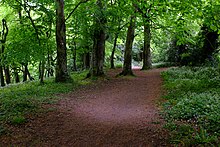 Ward River Valley Park