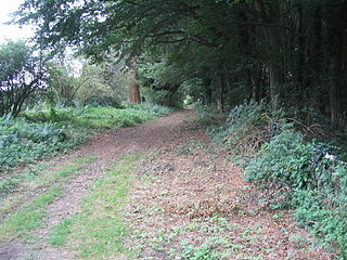 <span class="mw-page-title-main">Peddars Way</span>Long-distance footpath in England