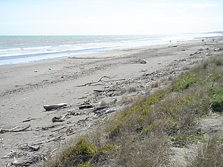 Peka Peka Place in Wellington Region, New Zealand