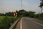 Lakaran kecil untuk Pinang Tunggal