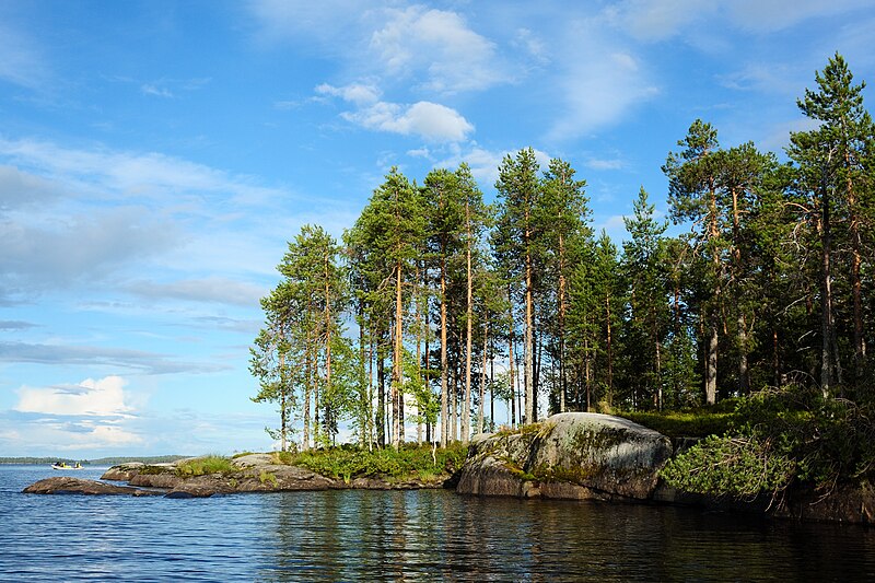 File:Pine trees on Nyuk lake.jpg