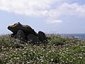 Dolmen à demi écroulé de l'Île Melon 4.