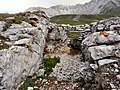 Postazione italiana lungo la via d'accesso dal passo di San Pellegrino