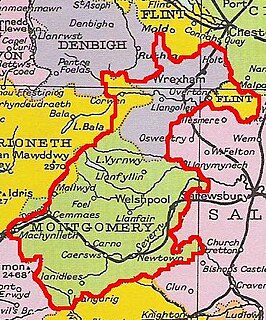 Madog ap Maredudd King of Powys