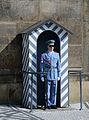 Prague Castle sentinel