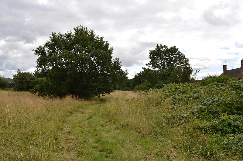 File:Prestwick Road Meadows 4.JPG