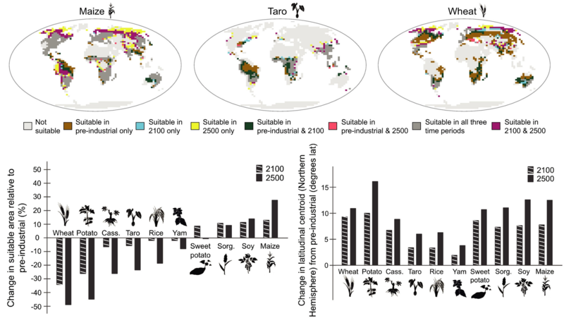 File:Projections for crop suitability to 2100 and 2500 under the moderate–high RCP6.0 emission scenario.webp