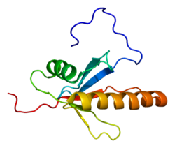 חלבון MAP2K5 PDB 1wi0.png