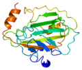 Thumbnail for Phosphatidylethanolamine binding protein 1