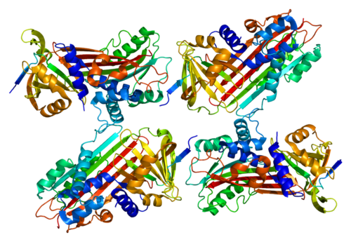 Белок ц. Белок s100a12. Протеины c и s. Белков c s. S100 Protein.