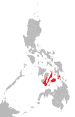 RC Aartsbisdom van Cebu.png