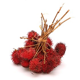 A bundle of fuzzy red fruits on woody stems