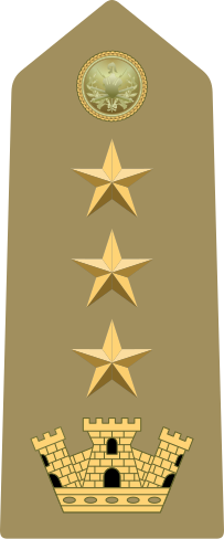 File:Rank insignia of colonnello of the Army of Italy (1973).svg