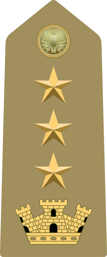 File:Rank insignia of colonnello of the Army of Italy (1973).svg