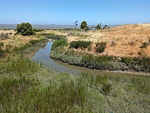 Refugio Creek