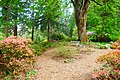 Spesies Rhododendron Yayasan dan Botanical Garden bench.jpg