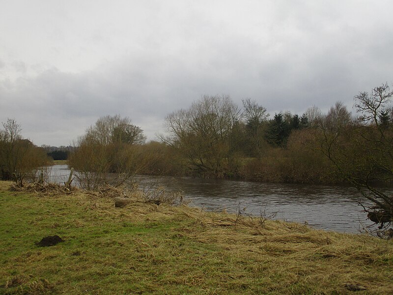 File:River Wharfe between Wetherby and Collingham (20th February 2021).jpg