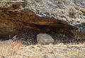 Rock Tomb at Isalo N-P (4353635400).jpg