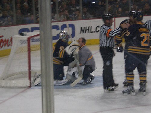 Ryan Miller of the Buffalo Sabres suffers an ankle sprain.