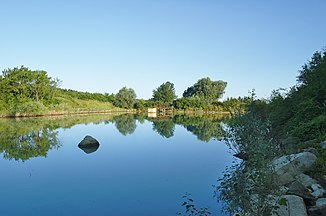 Pond in the headwaters south of Kuželov