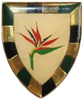 6 South African Infantry Battalion