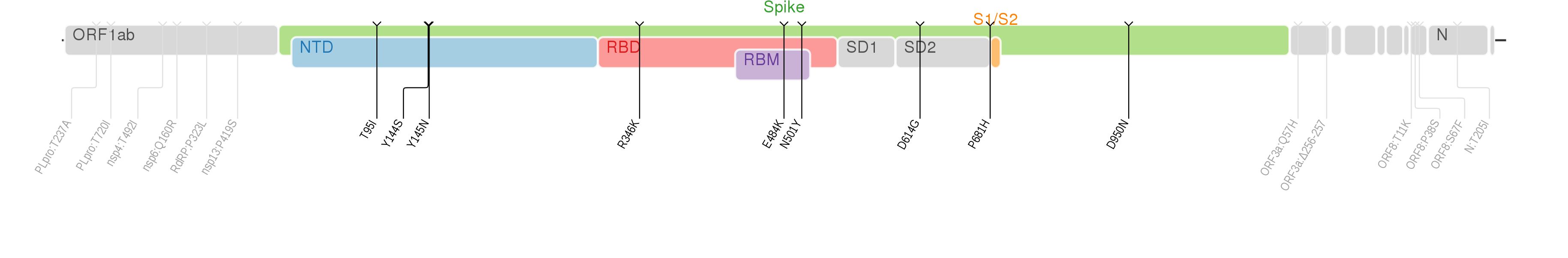 スパイクタンパク質に焦点を当てたSARS-CoV-2のゲノムマップ上にプロットされたミュー株のアミノ酸変異[10]。