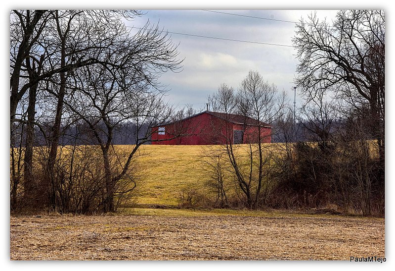 File:SPRINGFILD GREENWAY - panoramio (8).jpg