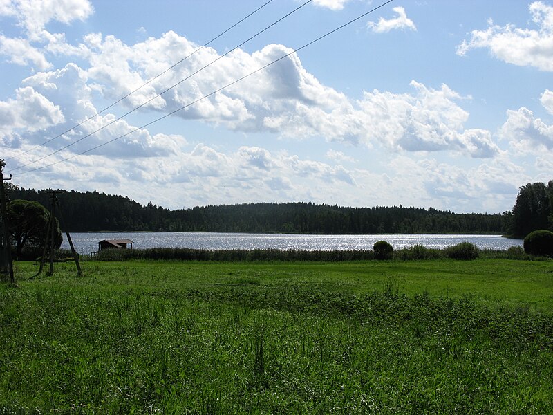 File:Saare Lake in Jõgeva County.jpg