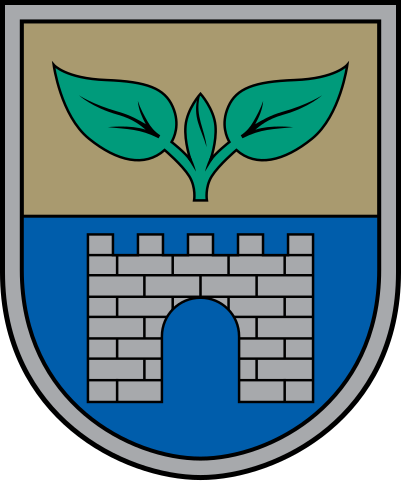 File:Salaspils novads COA.svg