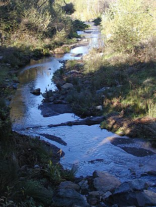 How to get to San Pedro Creek with public transit - About the place