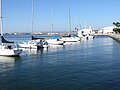 Boats along North Harbor Drive