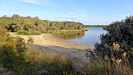 Sandy Beach, Molloy Island, 2015 (02).JPG