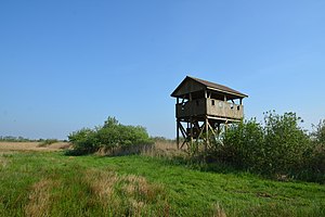 Schleswig-Holstein, Kreis Dithmarschen, Lundener Niederung NIK 2348.jpg