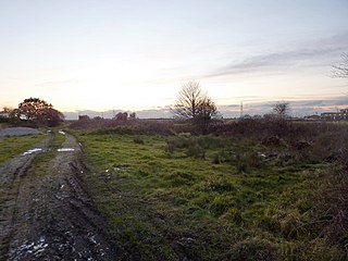 <span class="mw-page-title-main">Hoole railway station</span> Former railway station in England