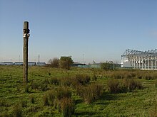 Open mosaic habitat at The Sanctuary Bird Reserve, Pride Park, Derby, prior to destruction for a cycle race track in 2014. Pride Park Football Stadium is in background. Skylark grassland.JPG