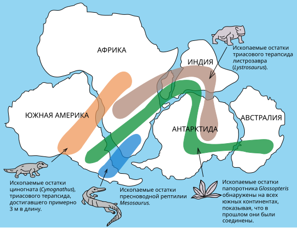 File:Snider-Pellegrini Wegener fossil map ru.svg