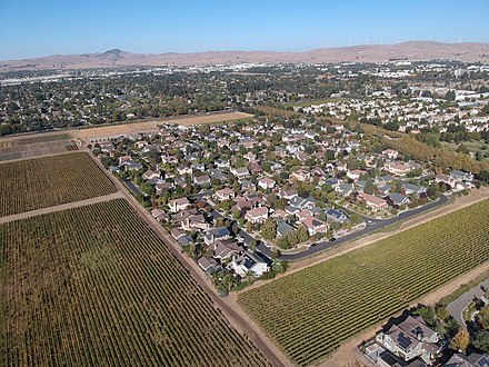 Southeast Livermore neighborhood surrounded by vineyards