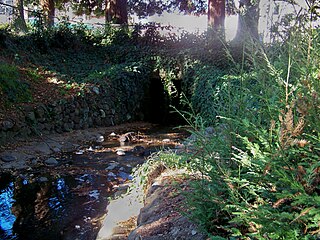 Strawberry Creek River in California, United States