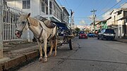 Thumbnail for File:Streetlife in Bluefields, Nicaragua 26.jpg