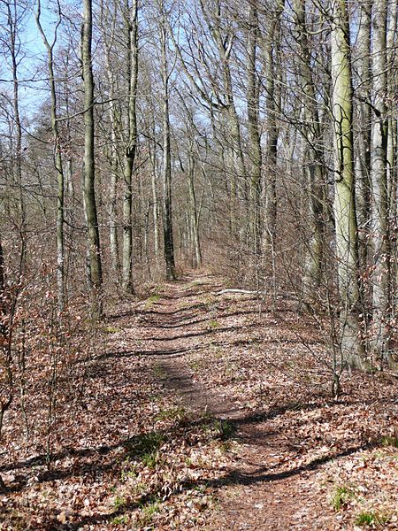 File:Stromberg-Schwäbischer Wald-Weg HW 10, Der Weg führt von Pforzheim über Besigheim und Backnang nach Lorch und hier über die waldreichen und einsamen Keuperhöhen des Stromberges. - panoramio (5).jpg