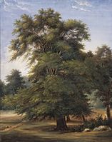 Дерево (этюд) (между 1800 и 1805), Музей искусств округа Лос-Анджелес.