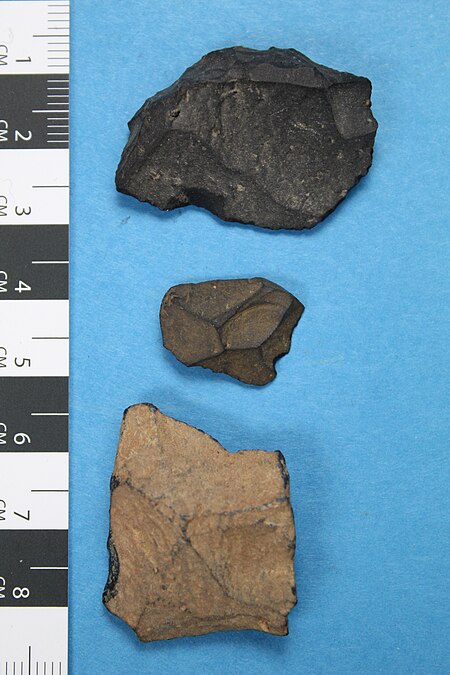 Tachylite flaked artefacts