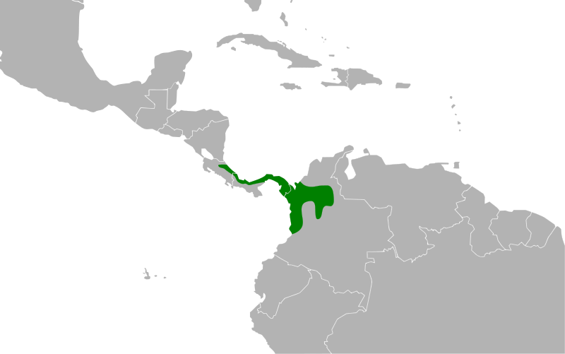 File:Tangara inornata map.svg